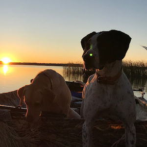 Meet your Posher, John